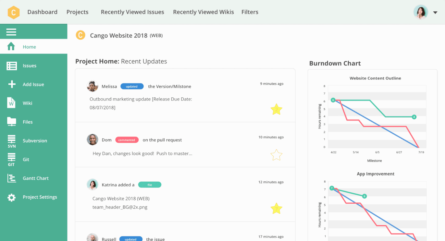 Recent views. Issue Tracker.