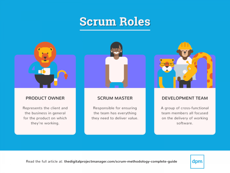 Scrum Methodology: The Complete Guide & Best Practices