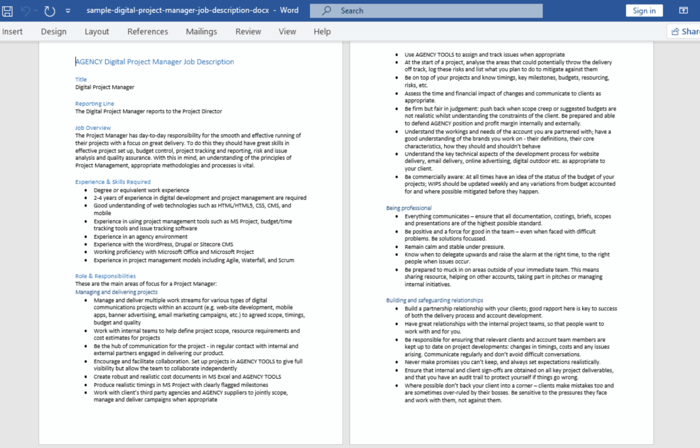 Infra Project Manager Job Description